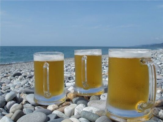 bier am strand.JPG